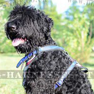 Leather Dog Harness "American Pride" for Black Russian Terrier