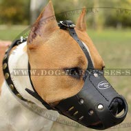 Amstaff Dog Muzzle of Natural Leather for Safe Everyday Use