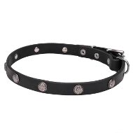 Thin Leather Dog Collar with "Antique" Flowered Round Studs