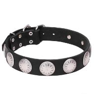 "The Orb of Night" Leather Dog Collar Silvery Stars on Plates