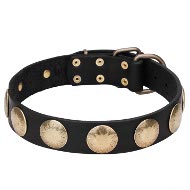 "The Orb of Day" Leather Dog Collar with Large Gold-Like Plates