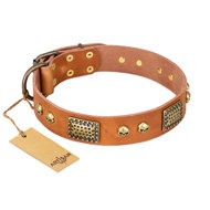 Artisan Dog Collar of Tan Leather "Saucy Nature" Skulls, Plates Artisan Dog Collar of Tan Leather "Saucy Nature" Skulls, Plates