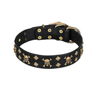 Artisan Dog Collar "Jolly Roger", Leather with Skulls and Studs