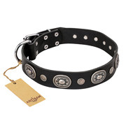 Artisan Leather Dog Collar "Black Tie" with Silvery Decorations
