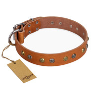 Artisan Leather Dog Collar with Studs "Golden'n'Silver Luxury" Artisan Leather Dog Collar with Studs "Golden'n'Silver Luxury"