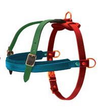 How to Size Dog Harness