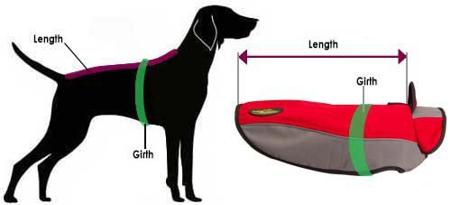 How to Size Dog for Nylon Coat