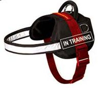 How to Size Dog Harness