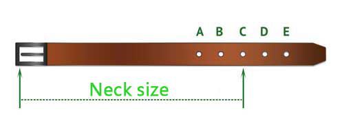 how to size dog collar