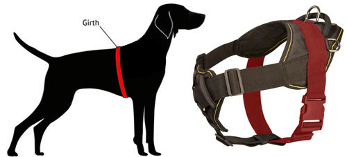 Nylon Dog Harness Size