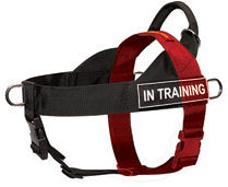 How to Size Dog Harness