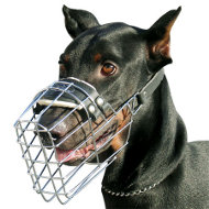 Bestseller! Basket Muzzle for Doberman Pinscher Daily Activities