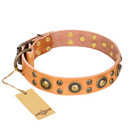 Beige Leather Dog Collar by FDT Artisan "Sophisticated Glamor" Beige Leather Dog Collar by FDT Artisan "Sophisticated Glamor"