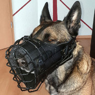 Belgian Malinois Basket Muzzle with Rubber Cover and Leather