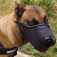 Belgian Malinois Dog Muzzle Improved of Leather and Nylon