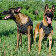 Bestseller Sport Dog Harness UK of Nylon for Belgian Malinois