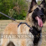 Leather Dog Harness UK