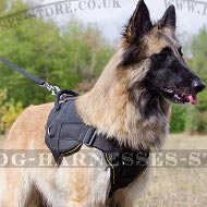 Belgian Tervuren Dog Harness of Nylon for Multipurpose Use