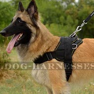 Belgian Tervuren Dog Harness of Nylon for All-Weather Activities