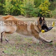 Belgian Tervuren Training Bite Tug of French Linen with Handles