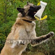 Belgian Tervuren Training Fire Hose Bite Tug with Two Handles