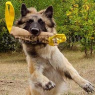 Belgian Tervuren Training Leather Bite Tug with 2
Nylon Handles