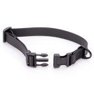 Best Biothane Dog Collar for Puppy and Young Dog