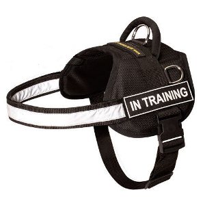 Best Buy Dog Harness