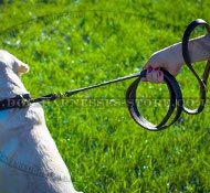 Best Dog Leash for Labrador Walking and Training, Leather