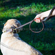 Best Dog Leash of Braided Design with Rolled Leather Handle