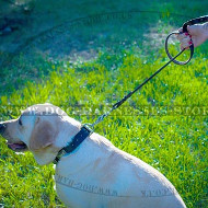 Best Leash for Big Dogs with Scissor-type Snap Hook & Braids
