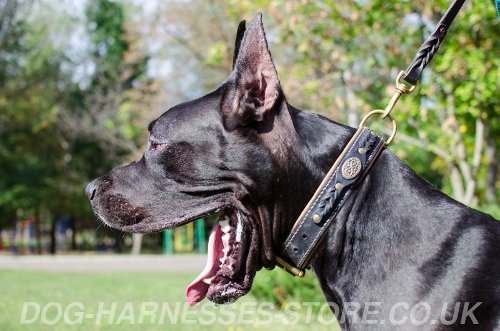 Royal Leather Dog Collar UK