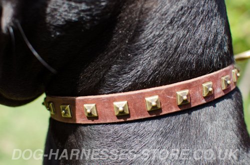 Thin Dog Collars UK