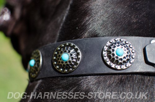 Decorated Leather Dog Collar UK