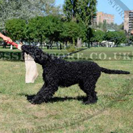 Jute Bite Rag for Black Russian Terrier Prey Drive Retrieve Work