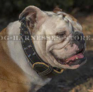 Double-Ply Leather Dog Collar Royal Design for British Bulldog