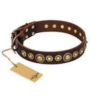 Brown Leather Dog Collar FDT Artisan, "Ancient Warrior"