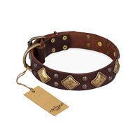 Brown Leather Dog Collar "Golden Square" with Rhombs FDT Artisan