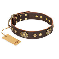 Brown Leather Dog Collar Vintage "One-of-a-Kind" FDT Artisan
