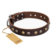 Brown Leather Dog Collar FDT Artisan with Studs "Rare Flower"