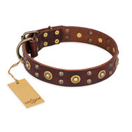 Brown Leather Studded Dog Collar "Caprice of Fashion" by Artisan