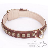 Brown Padded Leather Dog Collar with Brass Cubes