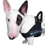 All Weather Nylon Bull Terrier Harness with ID Patches