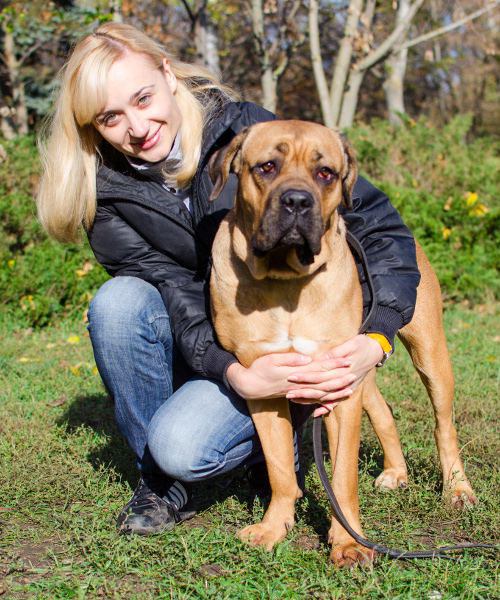 Cane Corso Supplies