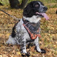 Cocker Spaniel Harness with Flamy Drawing Exclusively Handmade