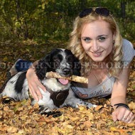 Spaniel Harness for Freedom of Movements, Soft Natural Leather