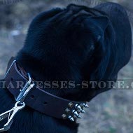 Collar for Shar-Pei Dog of Cones and Spikes Decorated Leather