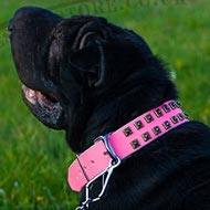 Collar for Shar-Pei Dog Girl of Pink Leather with Square Studs Collar for Shar-Pei Dog Girl of Pink Leather with Square Studs