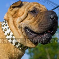 Collar for Shar-Pei Dog, White Leather with Studs and Cones Collar for Shar-Pei Dog, White Leather with Studs and Cones