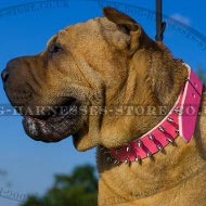 Collar for Shar-Pei Dog of Pink Leather with 2 Rows of Spikes Collar for Shar-Pei Dog of Pink Leather with 2 Rows of Spikes
